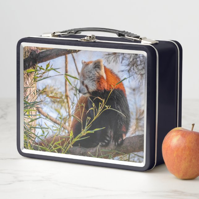 Roter Panda Metall Brotdose (Beispiel)