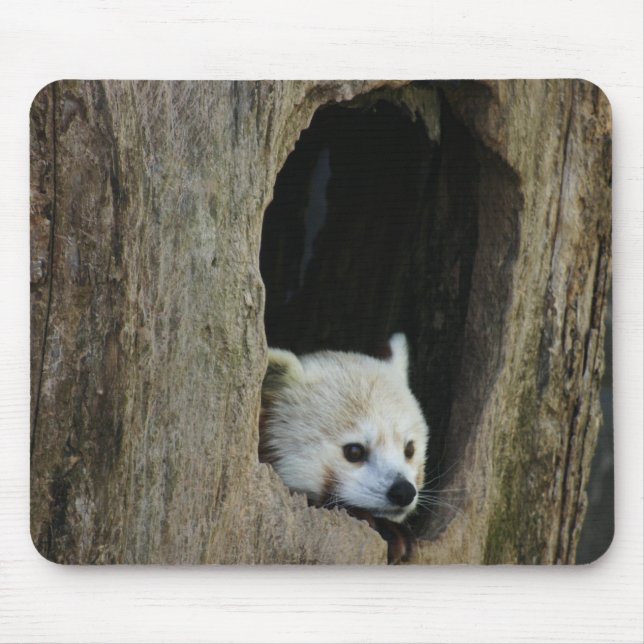 Roter Panda Mousepad (Vorne)