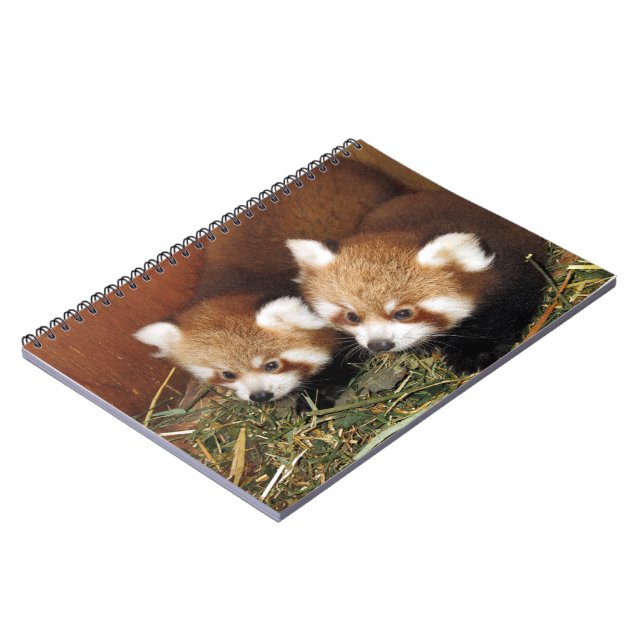 Roter Panda Notizblock (Linke Seite)