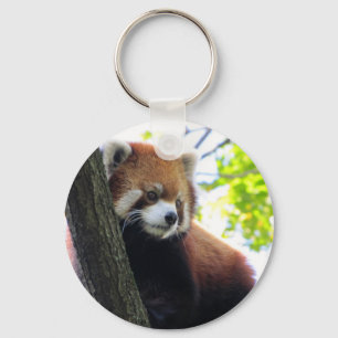 Roter Panda-Porträt Schlüsselanhänger