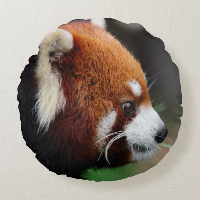 Roter Panda Rundes Kissen (Vorderseite)