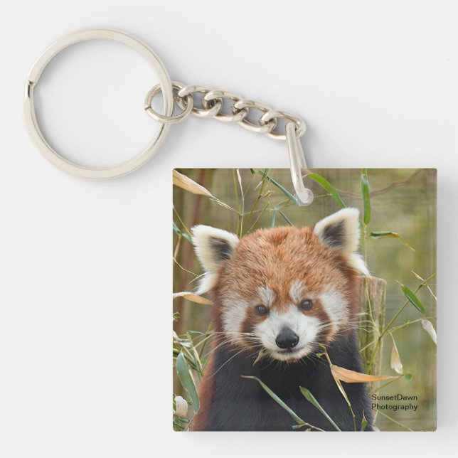 Roter Panda Schlüsselanhänger (Vorderseite)