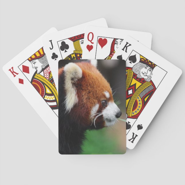 Roter Panda Spielkarten (Rückseite)