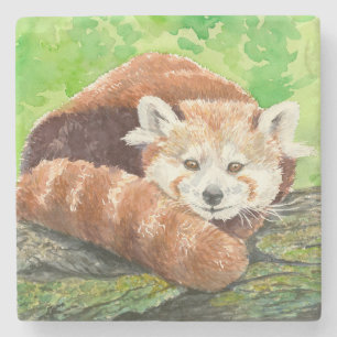 Roter Panda Steinuntersetzer