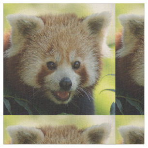 roter Panda Stoff