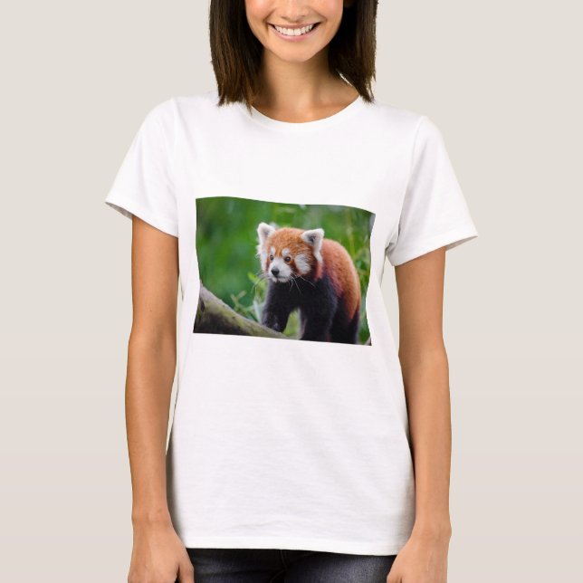 Roter Panda T-Shirt (Vorderseite)