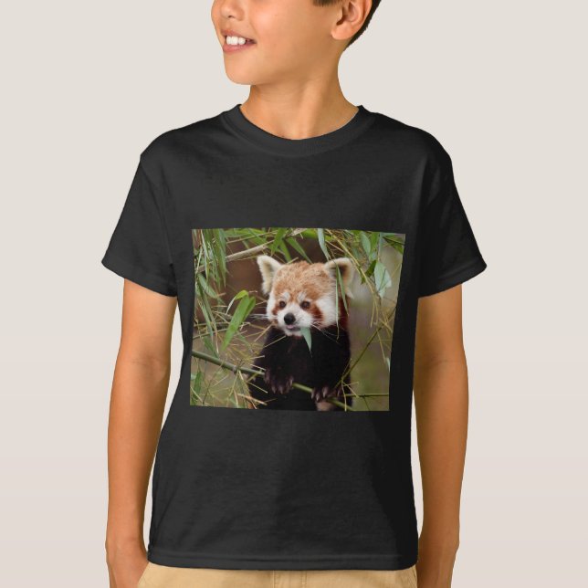 Roter Panda T-Shirt (Vorderseite)