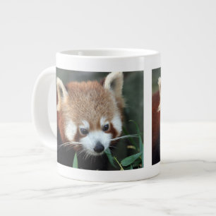 Roter Panda, Taronga Zoo, Sydney, Australien Jumbo-Tasse