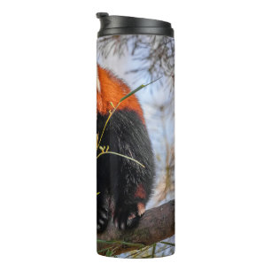 Roter Panda Thermosbecher