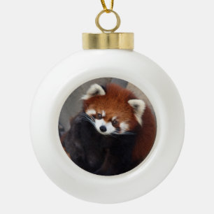 Roter Panda-Verzierung Keramik Kugel-Ornament