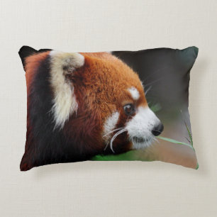 Roter Panda Zierkissen