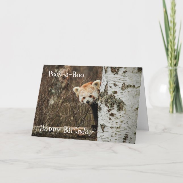 Roter Panda zum Geburtstag Karte (Vorderseite)