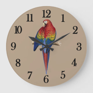 Roter Papagei Große Wanduhr