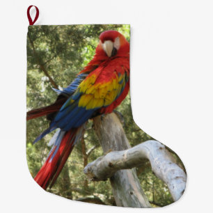 Roter Papagei Großer Weihnachtsstrumpf