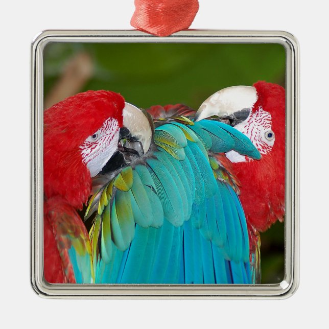 Roter Papagei Ornament Aus Metall (Vorne)
