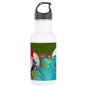 Roter Papagei Trinkflasche