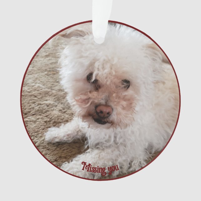 Roter Pawprint ausgefüllte Herzform, Pet Quote, Na Ornament (Vorderseite)