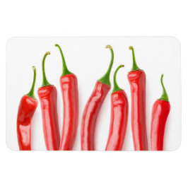 Roter Pfeffer Magnet