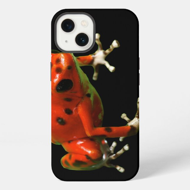 Roter Pfeilgiftfrosch iPhone Hülle (Rückseite)