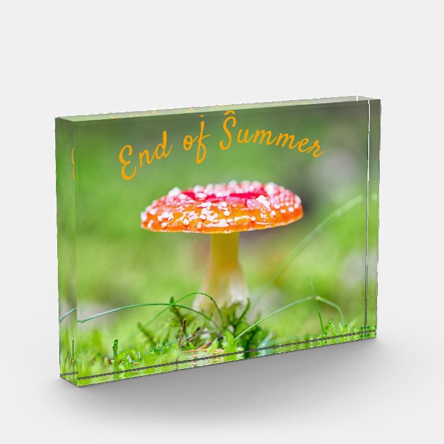 Roter Pilzfall Ende Sommer Fotoblock (Links)