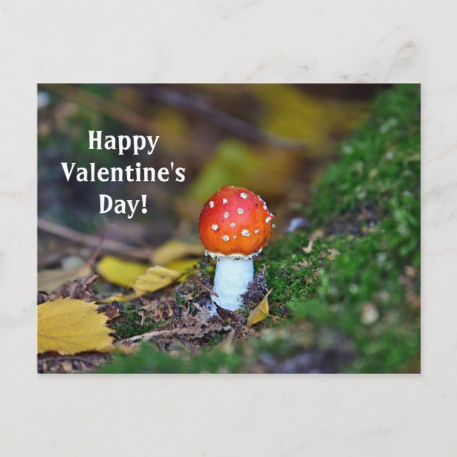 Roter Pilzwald Valentinstag Postkarte (Vorderseite)