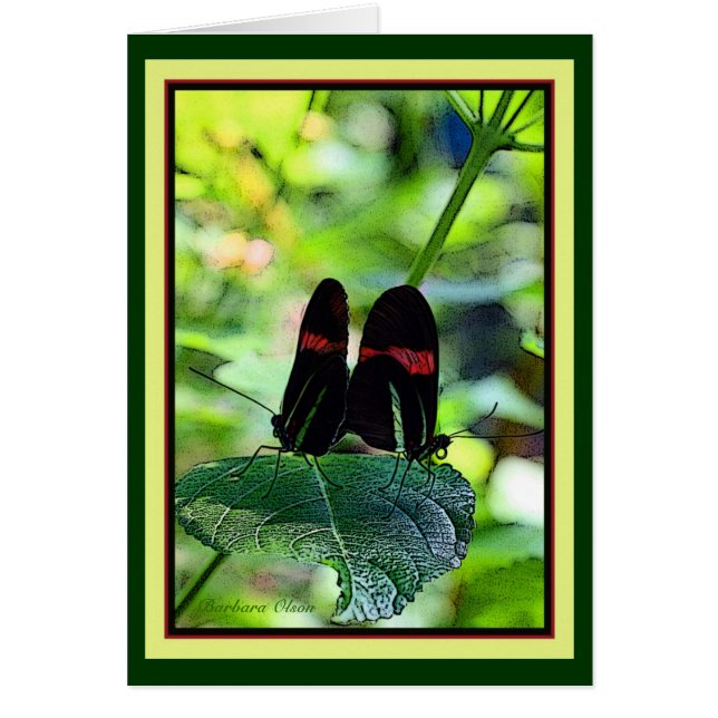 Roter Postman: Schmetterling (Vorne)