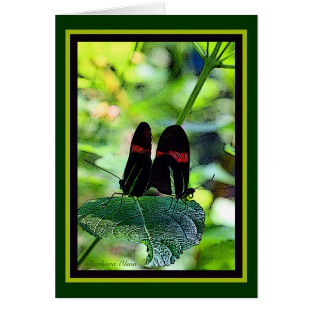 Roter Postman: Schmetterling (Vorne)