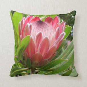 Roter Protea Kissen