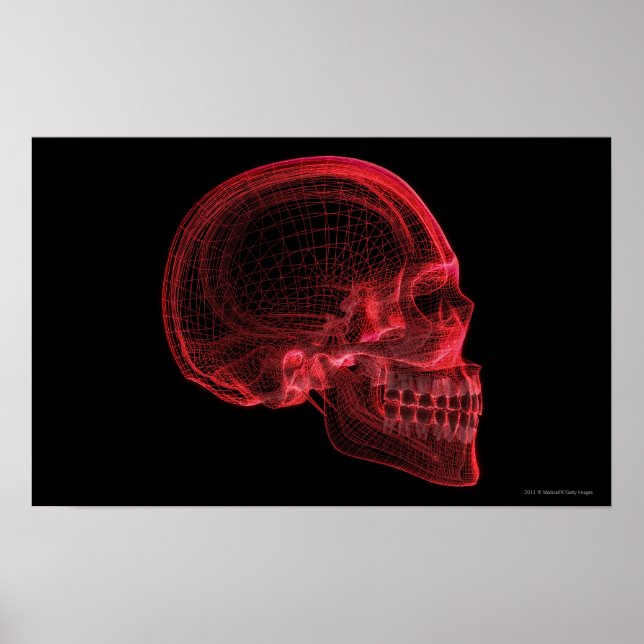 Roter Rahmen eines Schädels Poster (Vorne)