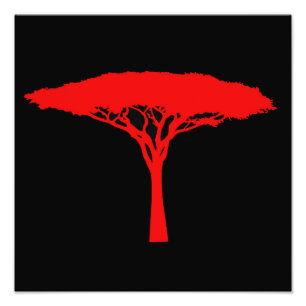 Roter Regenschirm Fotodruck