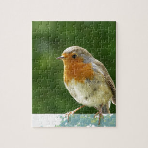Roter Robin
