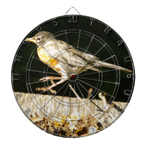 Roter Robin Bobbin Dartscheibe