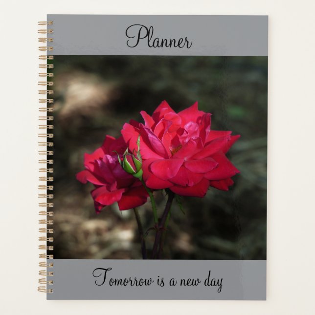 Roter Rosen Planer (Vorderseite)