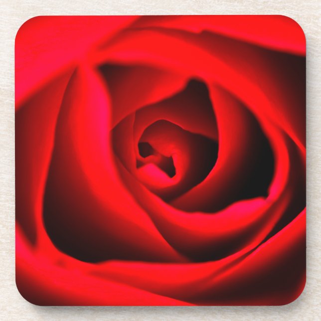 Roter Rosenblumen-Untersetzer Getränkeuntersetzer (Vorderseite)