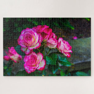 Roter Rosengarten