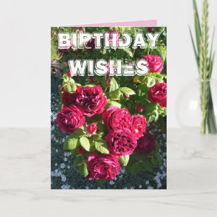 Roter Rosengarten Blumige Happy Birthday-Karte Karte
