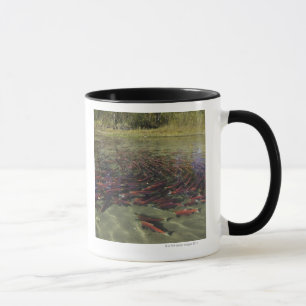 Roter Rotlachs, der im ruhigen Wirbel mahlt und Tasse