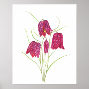 Roter Schlangenhaupt-Fritillarie-Wasserfarbenposte Poster