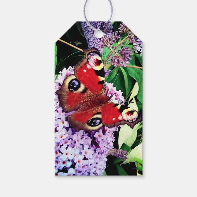 Roter Schmetterling Geschenkanhänger (Vorderseite)