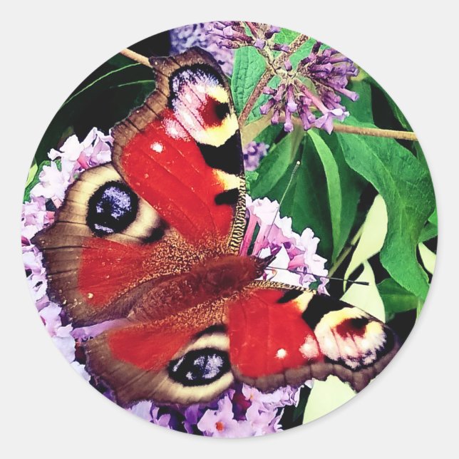 Roter Schmetterling Runder Aufkleber (Vorderseite)