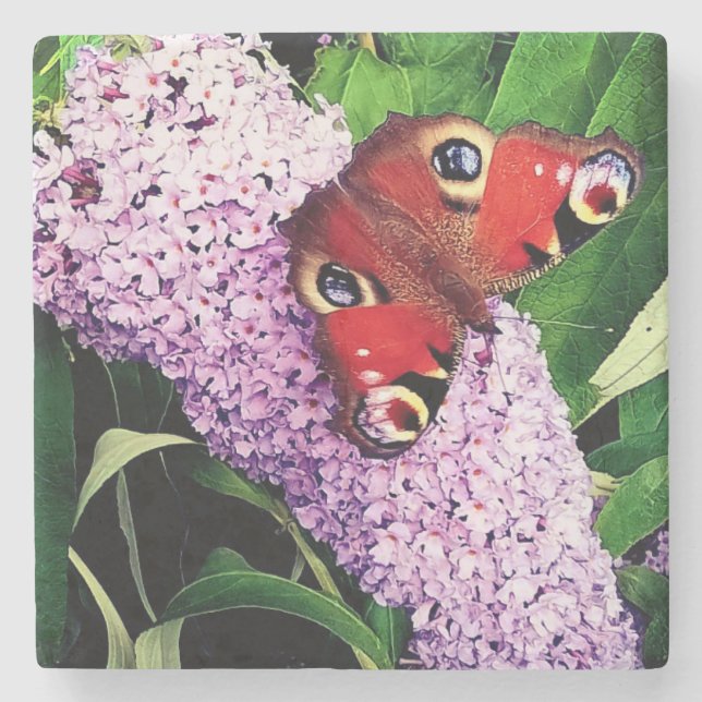 Roter Schmetterling Steinuntersetzer (Vorderseite)