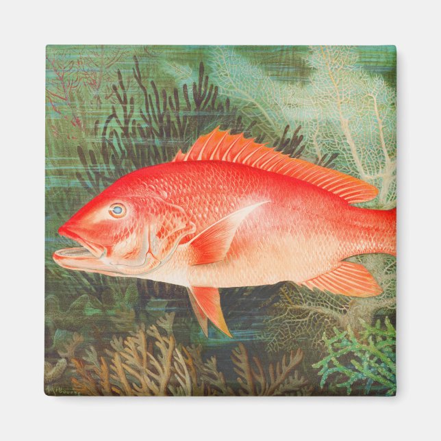 Roter Schnappfisch Vintag Magnet (Vorne)