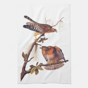Roter Schulter Hawk Audubon Bird of Prey Geschirrtuch