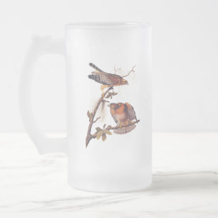 Roter Schulter Hawk Audubon Bird of Prey Mattglas Bierglas