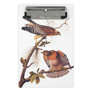 Roter Schulter Hawk Audubon Bird of Prey Mini Klemmbrett