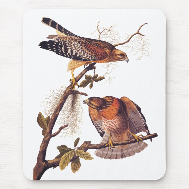 Roter Schulter Hawk Audubon Bird of Prey Mousepad (Vorne)