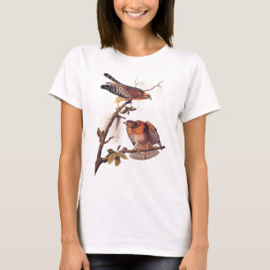 Roter Schulter Hawk Audubon Bird of Prey T-Shirt