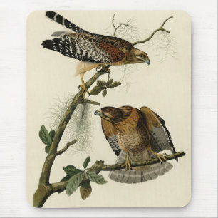 Roter Schulter Hawk - Audubons Vögel in Amerika Mousepad