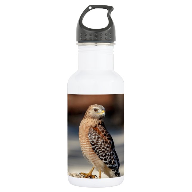 Roter Schulter-Hawk auf einem Felsen Trinkflasche (Vorderseite)