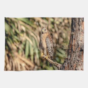 Roter Schulterhawk in einem Baum Küchentuch